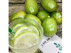 檸檬泡水會發苦？