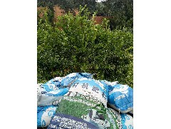 盆栽植物能否使用有機(jī)肥嗎？
