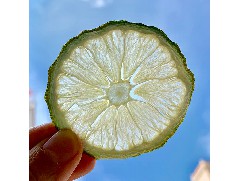 為什么檸檬水會(huì)有苦味？怎么泡才沒(méi)有苦味？
