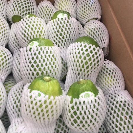 博檸有機香水檸檬